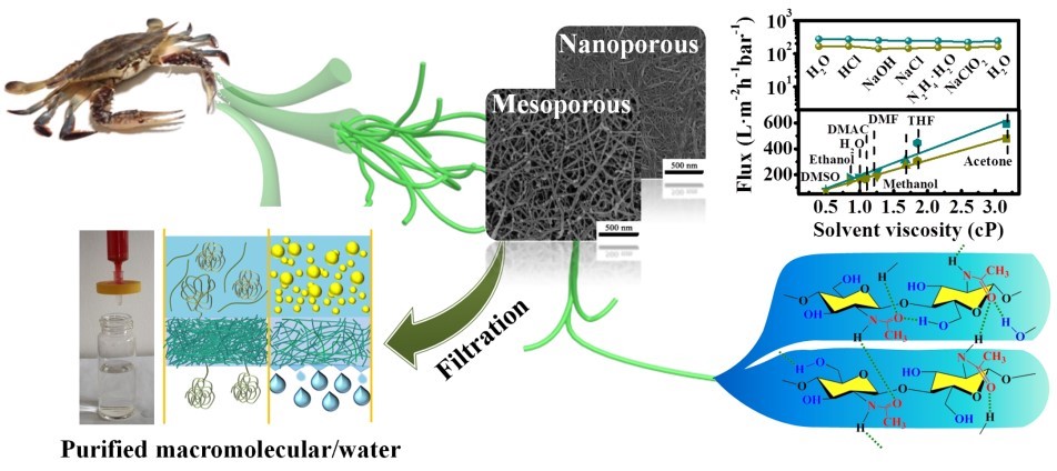 Separation of Caustic Nano-Emulsions and Macromolecular Conformations with Nanofibrous Membranes of Marine Chitin. Z Wang, J Xu, M Li, C Su, X Wu, Y Zhang, J You, C Li， ACS Appl. Mater. Interfaces  2019, 11, 8576−8583