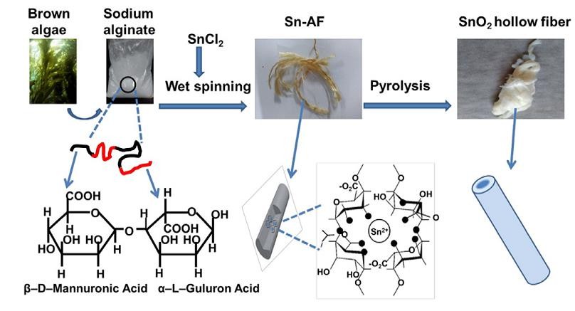 Alginate-assisted synthesis of hollow micro fi bers assembled by SnO2 nanoparticles. Zhao, Y., Li, M., Qiu, J., Kong, Q., Zhang, Y., & Li, C. (2016). Materials & Design, 101, 317-322.
