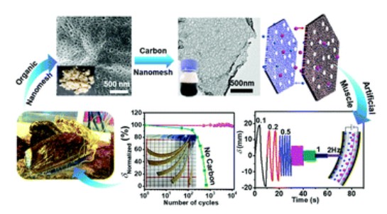 Nacre-based carbon nanomeshes for a soft ionic actuator with large and rapid deformation. Journal of Materials Chemistry C. X. Han; M. Kong; M. Li;* X. Li; W. Yang; C. Li*DOI: 10.1039/c9tc06186j